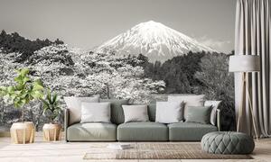 Fototapeta góra Fuji w czerni i bieli