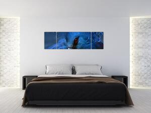 Obraz - Koronowany gołąb (170x50 cm)