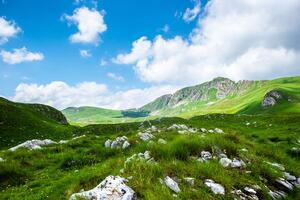 Samoprzylepna fototapeta dolina w Czarnogórze
