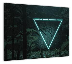 Obraz - Neonowy trójkąt w dżungli (70x50 cm)