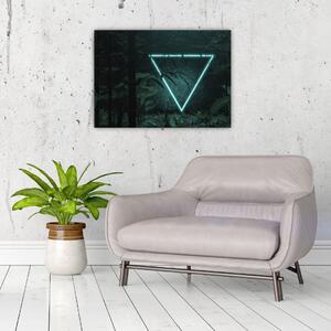 Obraz - Neonowy trójkąt w dżungli (70x50 cm)
