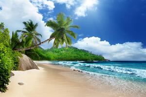 Samoprzylepna fototapeta piękna plaża na wyspie Seszele
