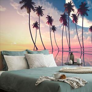 Samoprzylepna tapeta zachód słońca nad tropikalnymi palmami