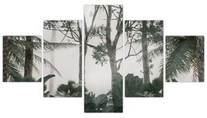 Obraz - dżungla w porannej mgle (125x70 cm)