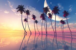 Tapeta zachód słońca nad tropikalnymi palmami