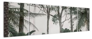 Obraz - dżungla w porannej mgle (170x50 cm)