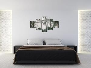 Obraz - dżungla w porannej mgle (125x70 cm)