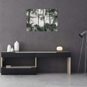 Obraz - dżungla w porannej mgle (70x50 cm)