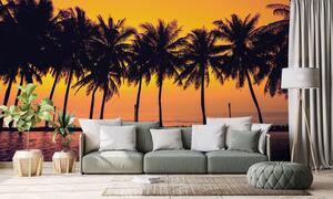 Tapeta zachód słońca nad palmami