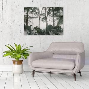 Obraz - dżungla w porannej mgle (70x50 cm)