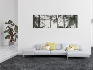 Obraz - dżungla w porannej mgle (170x50 cm)