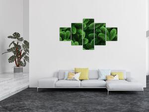 Obraz - Gałązki drzew iglastych (125x70 cm)