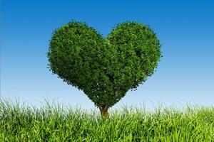 Tapeta drzewo w kształcie serca