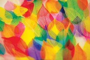 Samoprzylepna tapeta liście w jesiennych kolorach