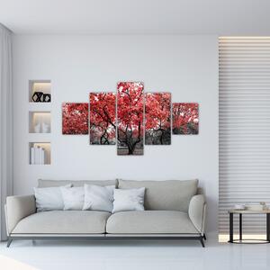 Obraz - Czerwone drzewa, Central Park, New York (125x70 cm)