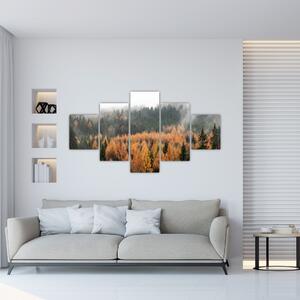Obraz - Jesienny las (125x70 cm)