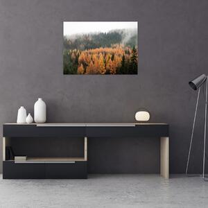 Obraz - Jesienny las (70x50 cm)