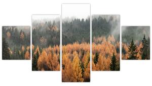 Obraz - Jesienny las (125x70 cm)
