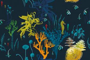 Samoprzylepna tapeta piękno podwodnego świata