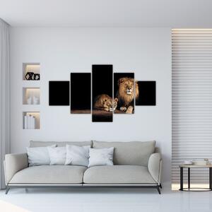 Obraz - Lew i lwica (125x70 cm)