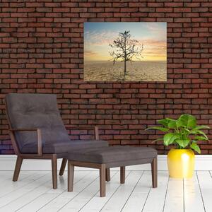Obraz - Drzewo na pustyni (70x50 cm)