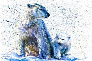Tapeta niedźwiedzie polarne