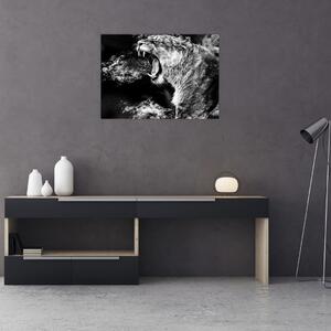 Obraz - Portret lwicy (70x50 cm)
