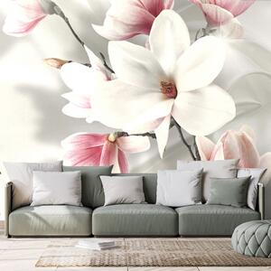 Tapeta biała magnolia