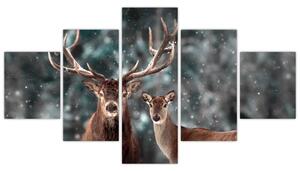 Obraz - Jeleń i łania w zaśnieżonym lesie (125x70 cm)