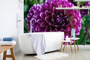 Samoprzylepna tapeta piękny fioletowy kwiat