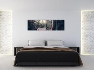 Obraz - Łoś na polanie (170x50 cm)