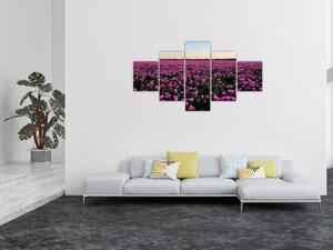 Obraz - Łąka fioletowych tulipanów (125x70 cm)