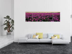 Obraz - Łąka fioletowych tulipanów (170x50 cm)