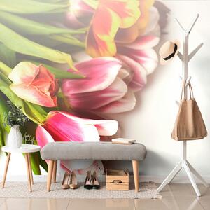 Samoprzylepna fototapeta bukiet tulipanów