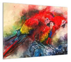 Obraz czerwonych papug Ara (70x50 cm)