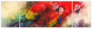 Obraz czerwonych papug Ara (170x50 cm)