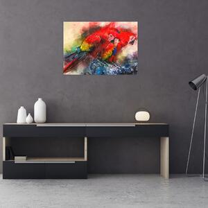 Obraz czerwonych papug Ara (70x50 cm)