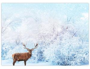 Obraz majestatycznego jelenia (70x50 cm)