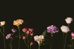 Samoprzylepna fototapeta eleganckie kwiaty na ciemnym tle