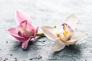 Fototapeta kwiaty orchidei