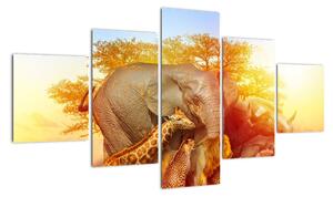 Obraz zwierząt afrykańskich (125x70 cm)
