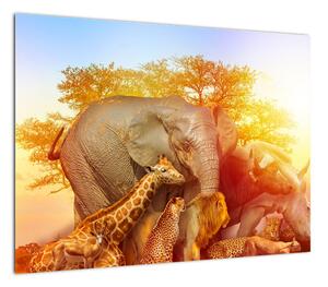 Obraz zwierząt afrykańskich (70x50 cm)