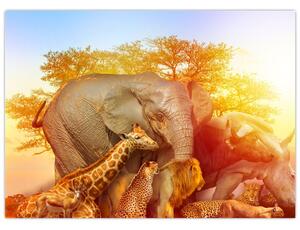 Obraz zwierząt afrykańskich (70x50 cm)