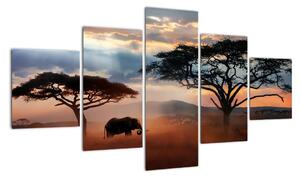 Obraz - Park Narodowy Serengeti, Tanzania, Afryka (125x70 cm)