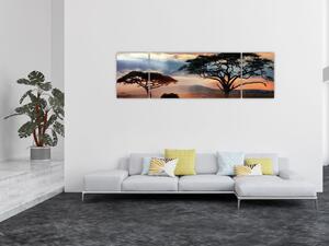 Obraz - Park Narodowy Serengeti, Tanzania, Afryka (170x50 cm)