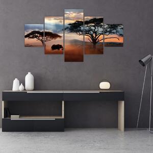 Obraz - Park Narodowy Serengeti, Tanzania, Afryka (125x70 cm)