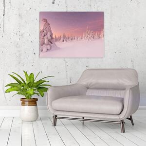 Obraz - Drzewa pod warstwą śniegu (70x50 cm)