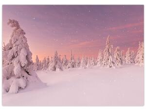 Obraz - Drzewa pod warstwą śniegu (70x50 cm)