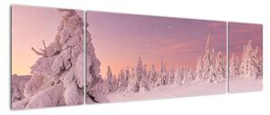 Obraz - Drzewa pod warstwą śniegu (170x50 cm)