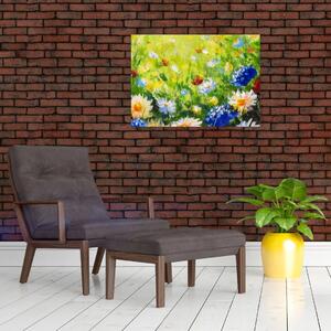 Obraz kwitnącej łąki, obraz olejny (70x50 cm)